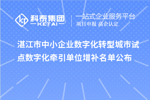 湛江市中小企业数字化转型城市试点数字化牵引单位增补名单公布