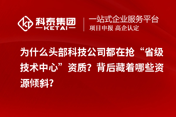 为什么头部科技公司都在抢“省级技术中心”资质？背后藏着哪些资源倾斜？