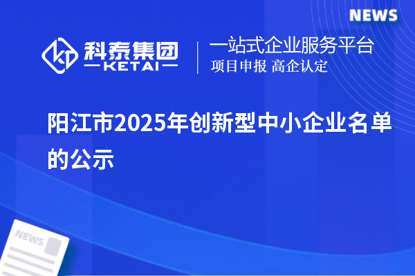 阳江市2025年创新型中小企业名单的公示