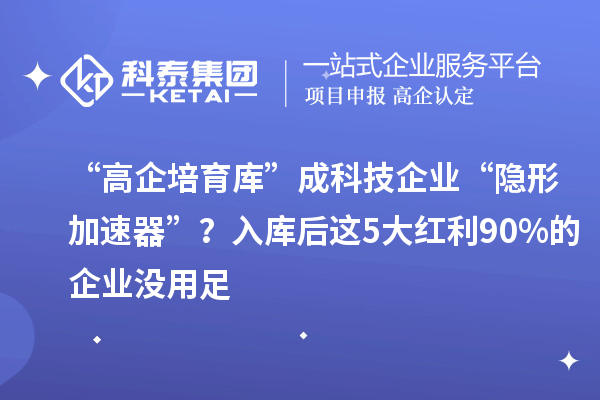 “高企培育库”成科技企业“隐形加速器”？入库后这5大红利90%的企业没用足