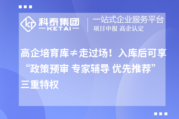 高企培育库≠走过场！入库后可享“政策预审+专家辅导+优先推荐”三重特权