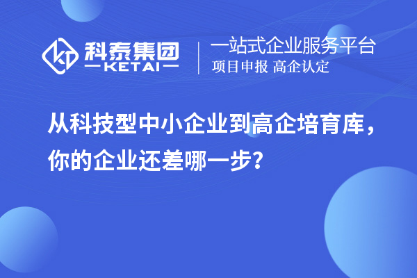 从科技型中小企业到高企培育库，你的企业还差哪一步？