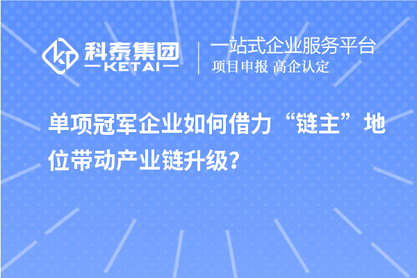 单项冠军企业如何借力“链主”地位带动产业链升级？