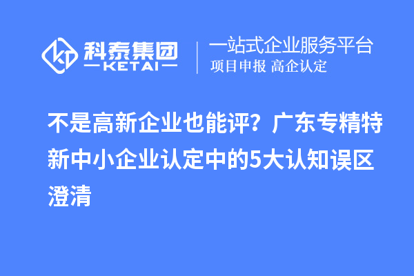 不是高新企业也能评？广东专精特新中小企业认定中的5大认知误区澄清