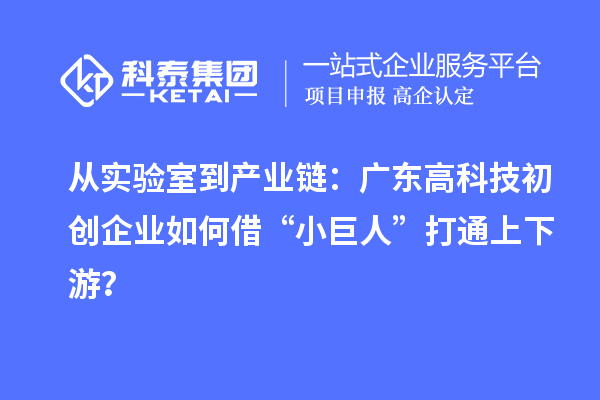 从实验室到产业链：广东高科技初创企业如何借“小巨人”打通上下游？