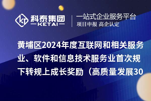 黄埔区2024年度互联网和相关服务业、软件和信息技术服务业首次规下转规上成长奖励（高质量发展30条）审核结果的公示