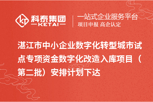 湛江市中小企业数字化转型城市试点专项资金数字化改造入库项目(第二批)安排计划下达