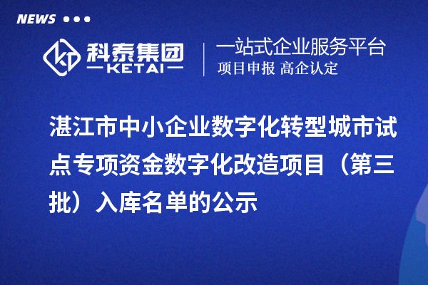 湛江市中小企业数字化转型城市试点专项资金数字化改造项目(第三批)入库名单的公示