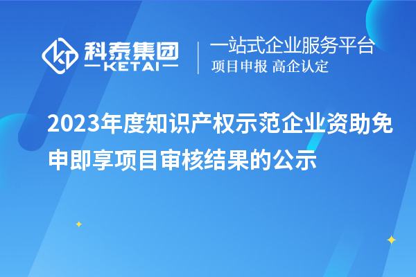 2023年度知识产权示范企业资助免申即享项目审核结果的公示