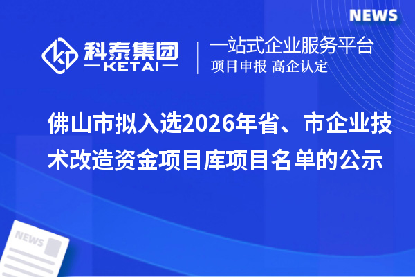 佛山市拟入选2026年省、市企业技术改造资金项目库项目名单的公示