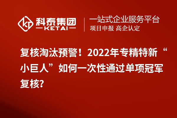 复核淘汰预警！2022年专精特新“小巨人”如何一次性通过单项冠军复核？