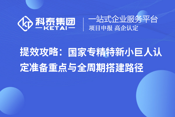 提效攻略：国家专精特新小巨人认定准备重点与全周期搭建路径