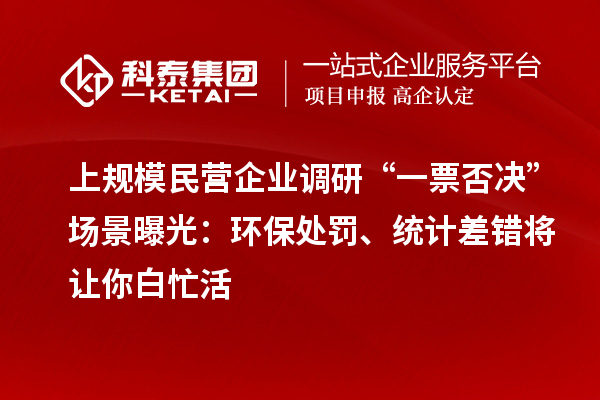 上规模民营企业调研“一票否决”场景曝光：环保处罚、统计差错将让你白忙活
