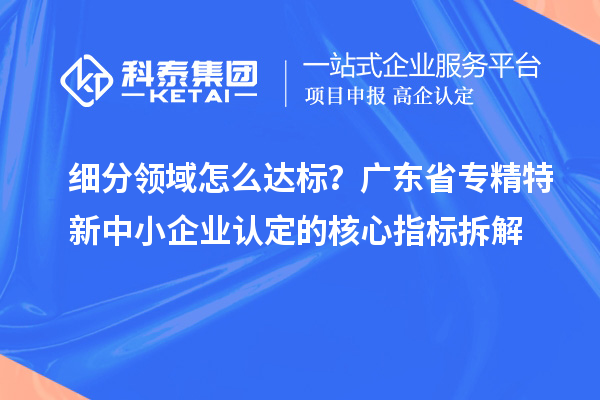 细分领域怎么达标？广东省专精特新中小企业认定的核心指标拆解