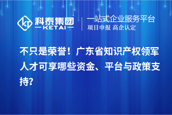 不只是荣誉！广东省知识产权领军人才可享哪些资金、平台与政策支持？