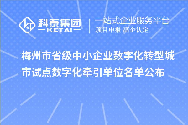 梅州市省级中小企业数字化转型城市试点数字化牵引单位名单公布