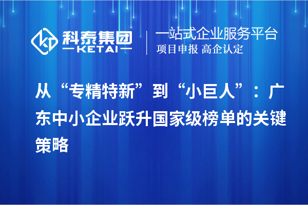 从“专精特新”到“小巨人”：广东中小企业跃升国家级榜单的关键策略