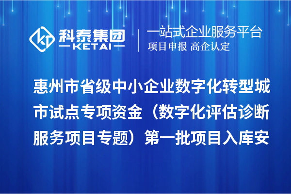 惠州市省级中小企业数字化转型城市试点专项资金（数字化评估诊断服务项目专题）第一批项目入库安排计划的公示