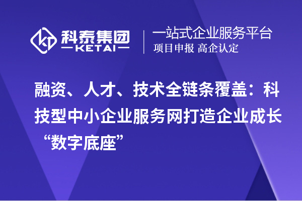 融资、人才、技术全链条覆盖：科技型中小企业服务网打造企业成长“数字底座”