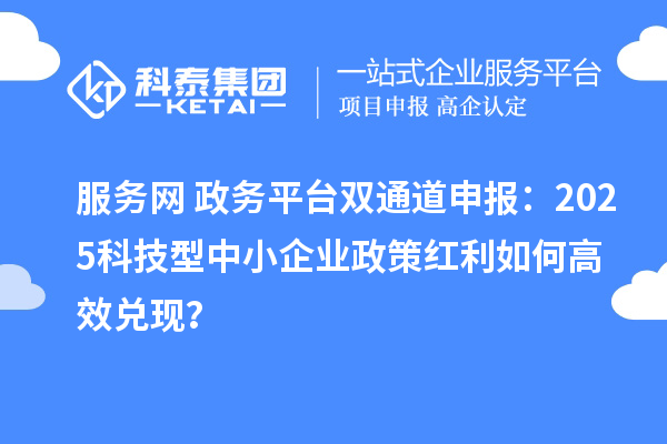服务网+政务平台双通道申报：2025科技型中小企业政策红利如何高效兑现？