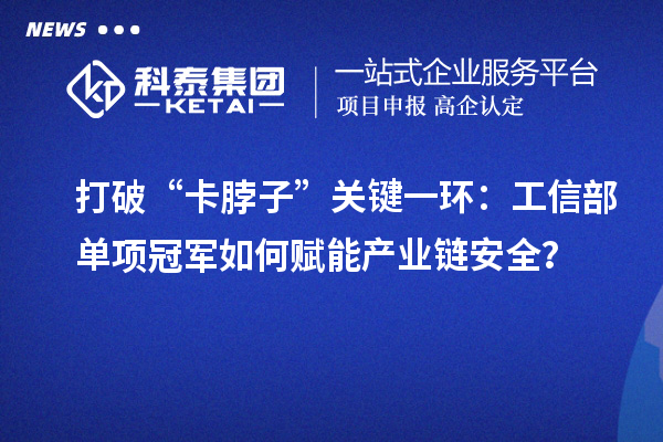 打破“卡脖子”关键一环:工信部单项冠军如何赋能产业链安全?