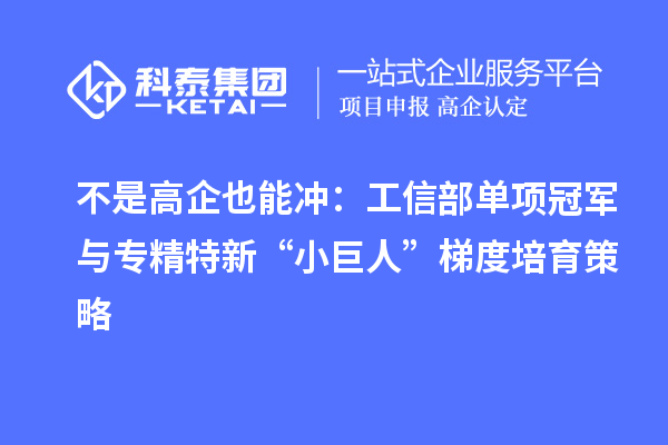 不是高企也能冲:工信部单项冠军与专精特新“小巨人”梯度培育策略