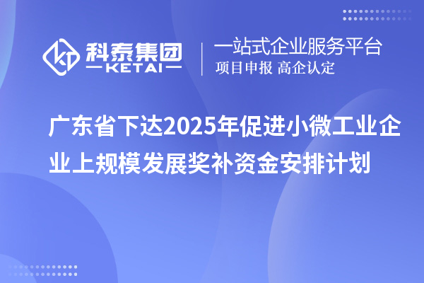 广东省下达2025年促进小微工业企业上规模发展奖补资金安排计划