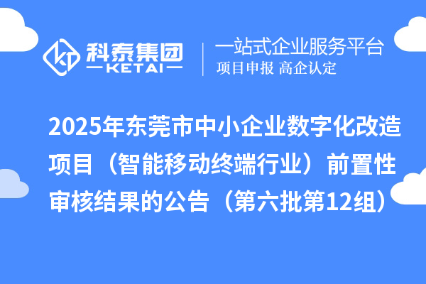 2025年东莞市中小企业数字化改造项目(智能移动终端行业)前置性审核结果的公告(第六批第12组)