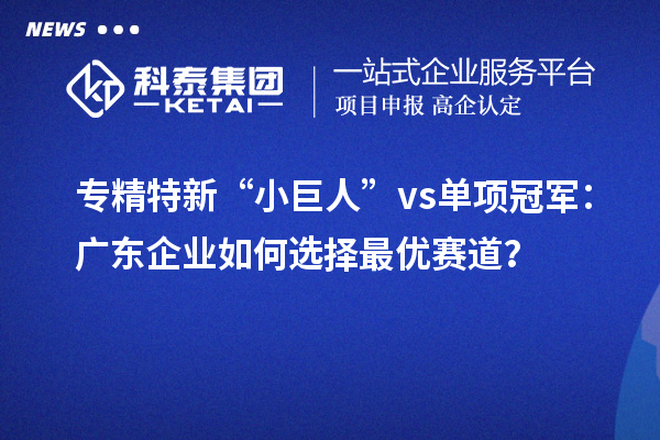 专精特新“小巨人” vs 单项冠军：广东企业如何选择最优赛道？
