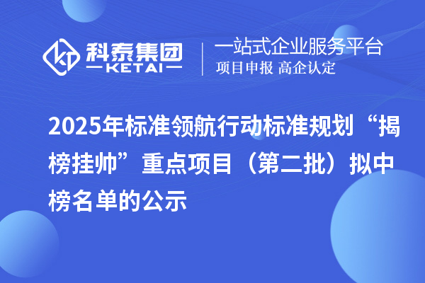 2025年标准领航行动标准规划“揭榜挂帅”重点项目(第二批)拟中榜名单的公示