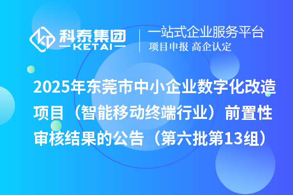 2025年东莞市中小企业数字化改造项目(智能移动终端行业)前置性审核结果的公告(第六批第13组)