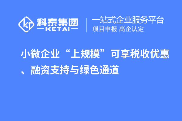 小微企业“上规?！笨上硭笆沼呕?、融资支持与绿色通道