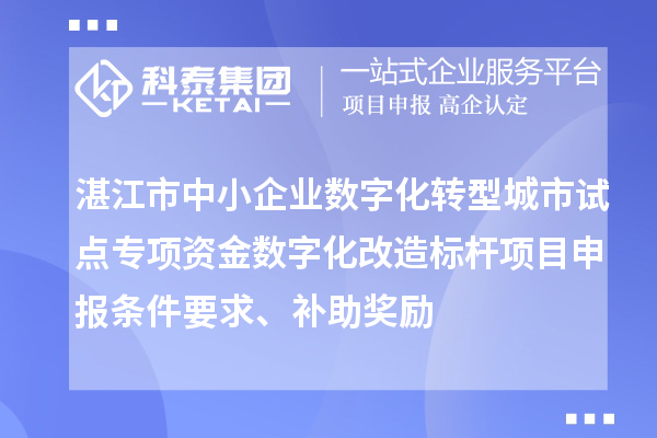 湛江市中小企业数字化转型城市试点专项资金数字化改造标杆<a href=http://m.1ys1w.cn/shenbao.html target=_blank class=infotextkey>项目申报</a>条件要求、补助奖励