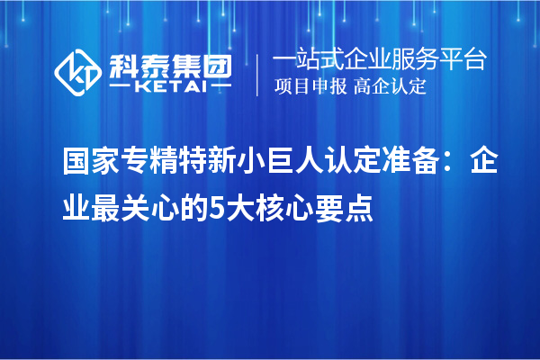 国家专精特新小巨人认定准备：企业最关心的5大核心要点