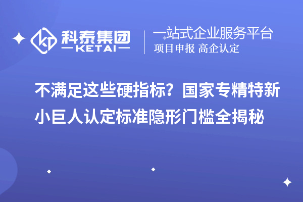 不满足这些硬指标？国家专精特新小巨人认定标准隐形门槛全揭秘