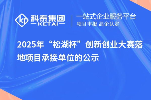 2025年“松湖杯”创新创业大赛落地项目承接单位的公示