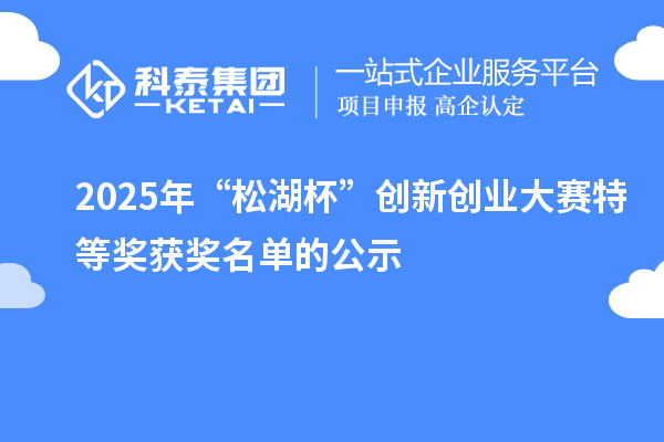 2025年“松湖杯”创新创业大赛特等奖获奖名单的公示