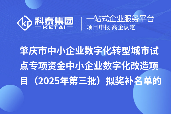 肇庆市中小企业数字化转型城市试点专项资金中小企业数字化改造项目(2025年第三批)拟奖补名单的公示