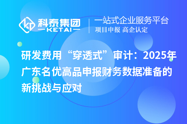 研发费用“穿透式”审计:2025年广东名优高品申报财务数据准备的新挑战与应对