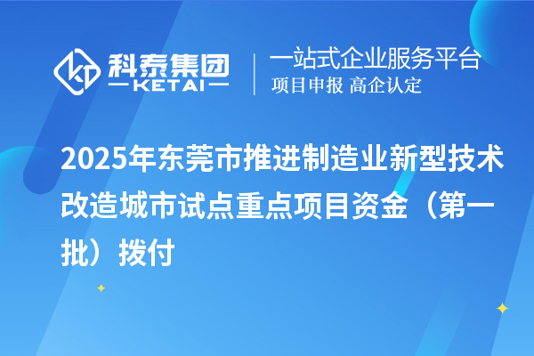2025年东莞市推进制造业新型技术改造城市试点重点项目资金(第一批)拨付
