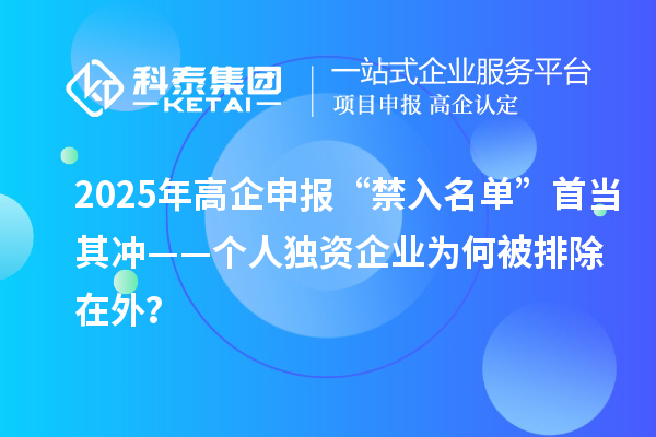 2025年高企申报“禁入名单”首当其冲——个人独资企业为何被排除在外？