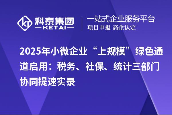 2025年小微企业“上规模”绿色通道启用：税务、社保、统计三部门协同提速实录