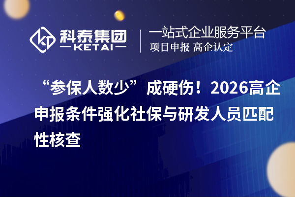 “参保人数少”成硬伤！2026高企申报条件强化社保与研发人员匹配性核查
