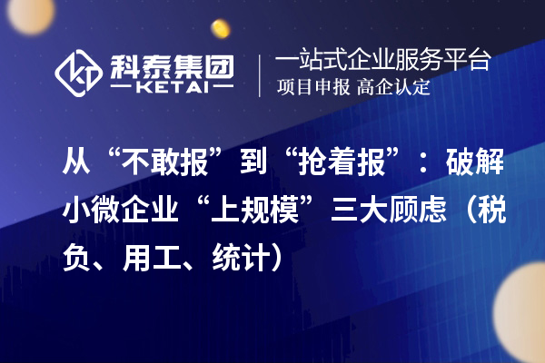从“不敢报”到“抢着报”：破解小微企业“上规?！比蠊寺牵ㄋ案?、用工、统计）