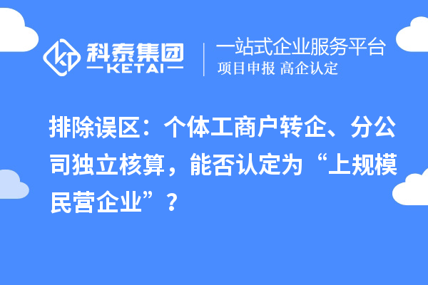 排除误区：个体工商户转企、分公司独立核算，能否认定为“上规模民营企业”？