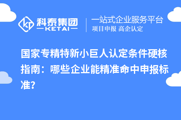 国家专精特新小巨人认定条件硬核指南：哪些企业能精准命中申报标准？