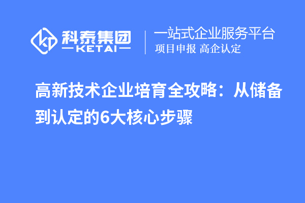 高新技术企业培育全攻略：从储备到认定的6大核心步骤
