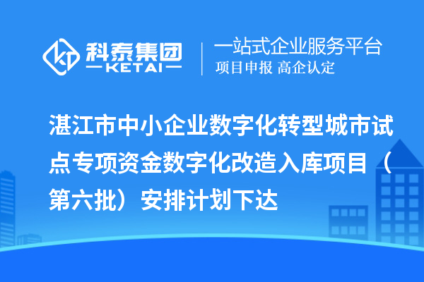 湛江市中小企业数字化转型城市试点专项资金数字化改造入库项目(第六批)安排计划下达
