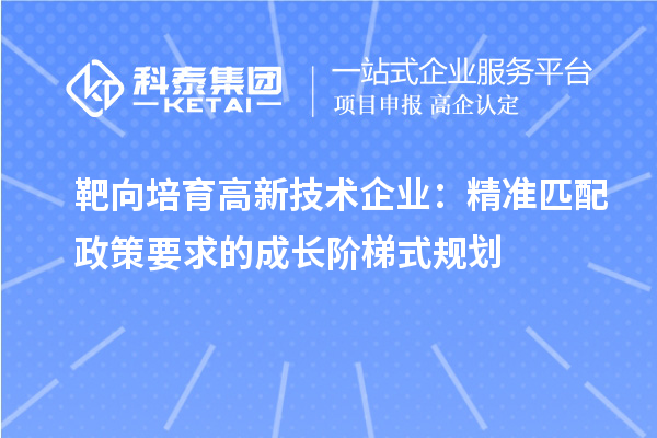 靶向培育高新技术企业：精准匹配政策要求的成长阶梯式规划