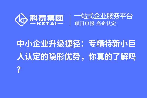 中小企业升级捷径：专精特新小巨人认定的隐形优势，你真的了解吗？